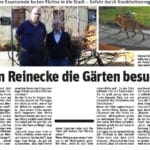 wenn-reinecke-fuchs-die-gaerten-besucht-1